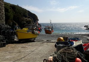 Boats at Cadgwith Cove, The Lizard