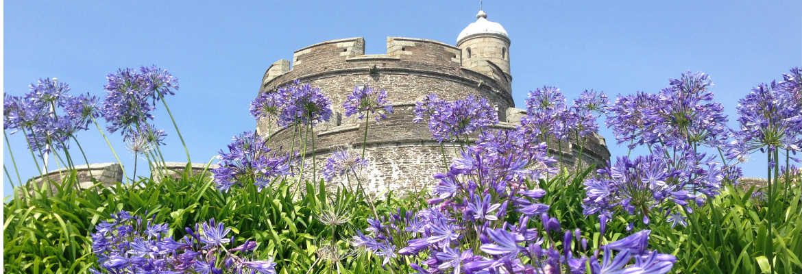 St Mawes Castle