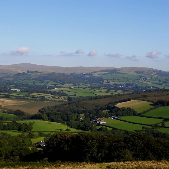 Brentor on Dartmoor tour