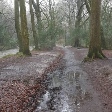 February in Cornwall