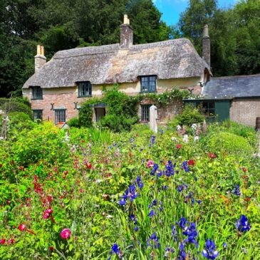 Thomas Hardy Tour