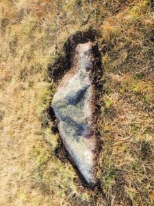 Uncovered stone from ruined stone circle, Bodmin Moor. Shaped like the side profile of a figure.