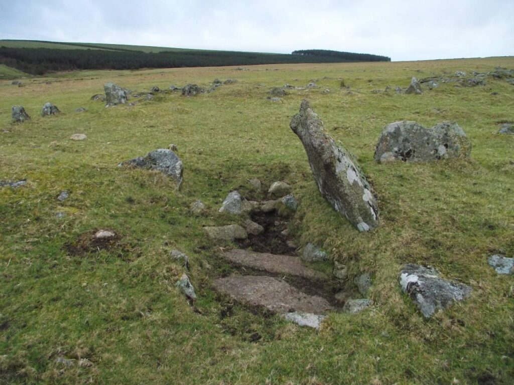 Bronze Age hut ruins, Rough Tor, Bodmin Moor