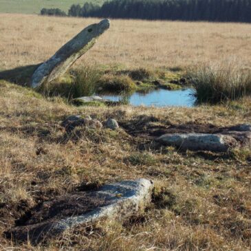 Stone Circles & Archaeology on Bodmin Moor